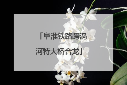 阜淮铁路跨涡河特大桥合龙