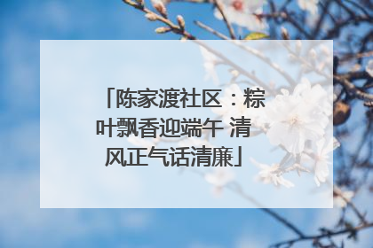 陈家渡社区：粽叶飘香迎端午 清风正气话清廉