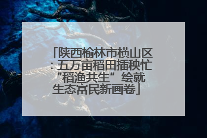 陕西榆林市横山区：五万亩稻田插秧忙 “稻渔共生”绘就生态富民新画卷