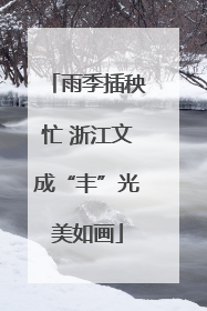 雨季插秧忙 浙江文成“丰”光美如画