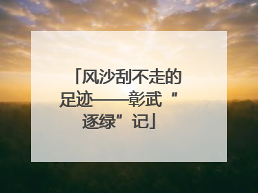 风沙刮不走的足迹——彰武“逐绿”记