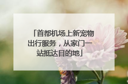 首都机场上新宠物出行服务，从家门一站抵达目的地