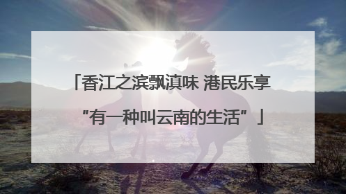 香江之滨飘滇味 港民乐享“有一种叫云南的生活”