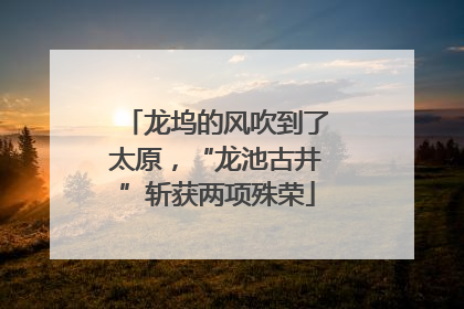 龙坞的风吹到了太原，“龙池古井”斩获两项殊荣