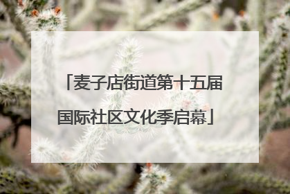 麦子店街道第十五届国际社区文化季启幕
