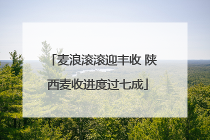麦浪滚滚迎丰收 陕西麦收进度过七成