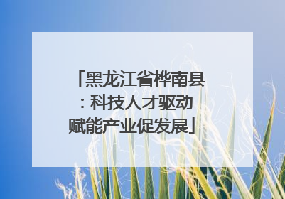 黑龙江省桦南县：科技人才驱动 赋能产业促发展
