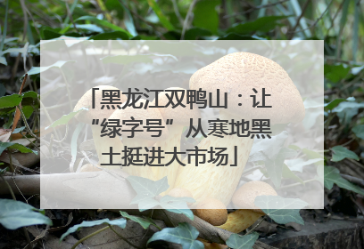 黑龙江双鸭山：让“绿字号”从寒地黑土挺进大市场