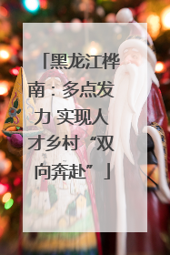 黑龙江桦南：多点发力 实现人才乡村“双向奔赴”