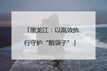 黑龙江：以高效执行守护“粮袋子”