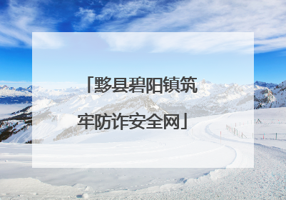 黟县碧阳镇筑牢防诈安全网