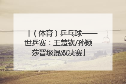 （体育）乒乓球——世乒赛：王楚钦/孙颖莎晋级混双决赛