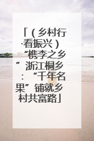 （乡村行·看振兴）“槜李之乡”浙江桐乡：“千年名果”铺就乡村共富路
