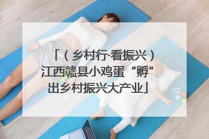 （乡村行·看振兴）江西赣县小鸡蛋“孵”出乡村振兴大产业