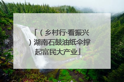 （乡村行·看振兴）湖南石鼓油纸伞撑起富民大产业