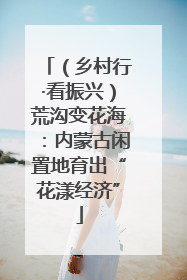 （乡村行·看振兴）荒沟变花海：内蒙古闲置地育出“花漾经济”