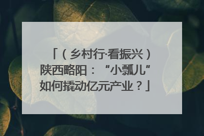 （乡村行·看振兴）陕西略阳：“小瓢儿”如何撬动亿元产业？