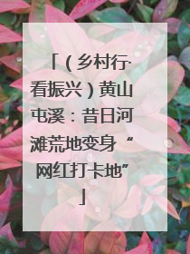 （乡村行·看振兴）黄山屯溪：昔日河滩荒地变身“网红打卡地”