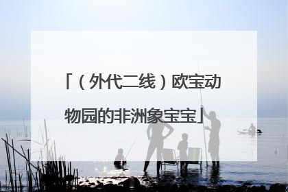 （外代二线）欧宝动物园的非洲象宝宝