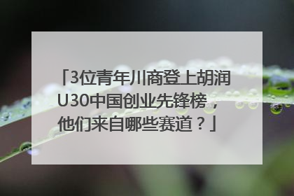 3位青年川商登上胡润U30中国创业先锋榜，他们来自哪些赛道？