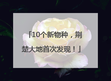 10个新物种，荆楚大地首次发现！