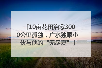 10亩花田治愈3000公里孤独，广水独眼小伙与他的“无尽夏”