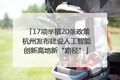 17项举措20条政策 杭州发布建设人工智能创新高地新“路径”