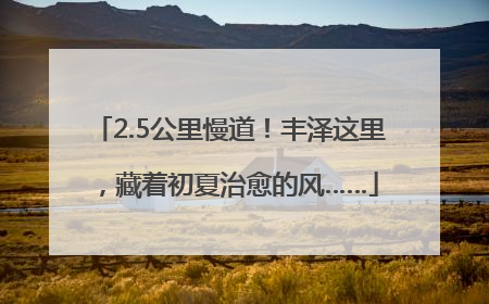 2.5公里慢道！丰泽这里，藏着初夏治愈的风……