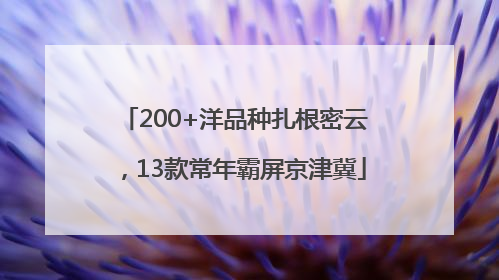 200+洋品种扎根密云，13款常年霸屏京津冀