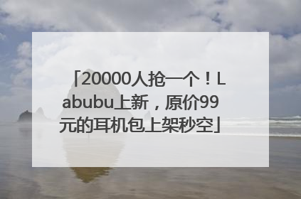 20000人抢一个！Labubu上新，原价99元的耳机包上架秒空