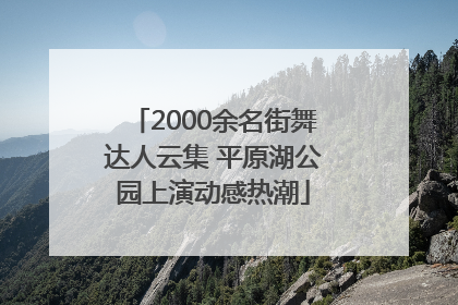2000余名街舞达人云集 平原湖公园上演动感热潮