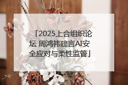 2025上合组织论坛 周鸿祎建言AI安全应对与柔性监管