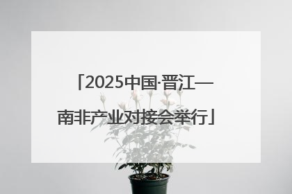 2025中国·晋江—南非产业对接会举行
