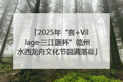 2025年“客+Village·三江匯杯”赣州水西龙舟文化节圆满落幕