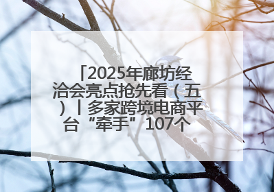 2025年廊坊经洽会亮点抢先看（五）丨多家跨境电商平台“牵手”107个特色产业集群