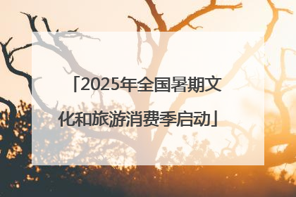 2025年全国暑期文化和旅游消费季启动