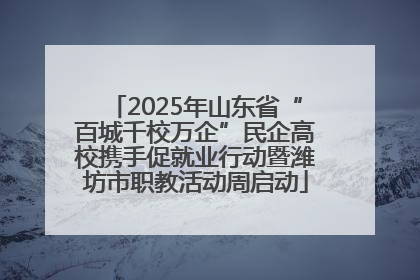 2025年山东省“百城千校万企”民企高校携手促就业行动暨潍坊市职教活动周启动
