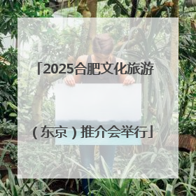 2025合肥文化旅游（东京）推介会举行