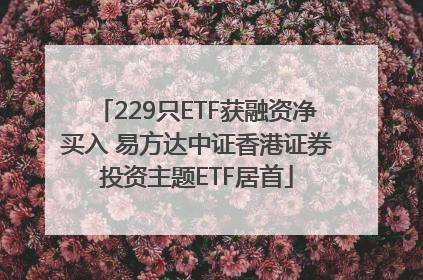229只ETF获融资净买入 易方达中证香港证券投资主题ETF居首