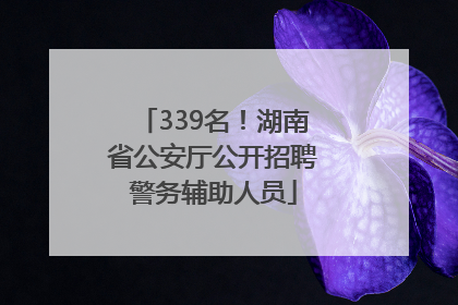 339名！湖南省公安厅公开招聘警务辅助人员