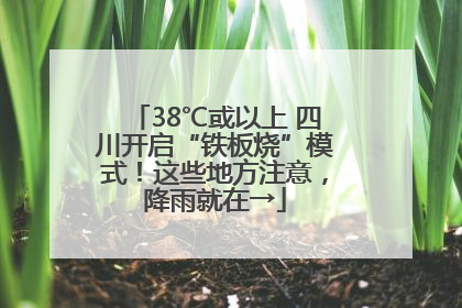 38℃或以上 四川开启“铁板烧”模式！这些地方注意，降雨就在→