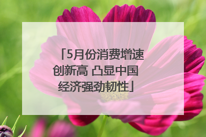5月份消费增速创新高 凸显中国经济强劲韧性