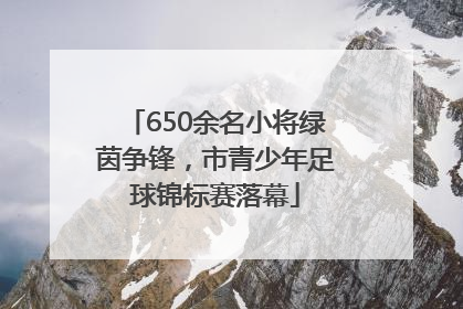 650余名小将绿茵争锋，市青少年足球锦标赛落幕