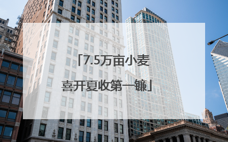 7.5万亩小麦喜开夏收第一镰