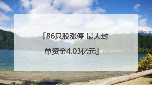 86只股涨停 最大封单资金4.03亿元