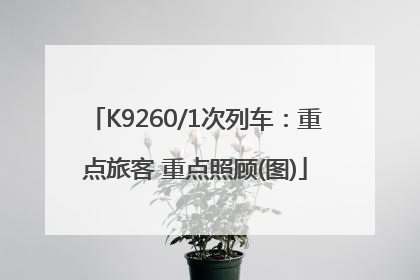 K9260/1次列车：重点旅客 重点照顾(图)