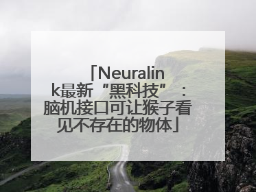 Neuralink最新“黑科技”：脑机接口可让猴子看见不存在的物体